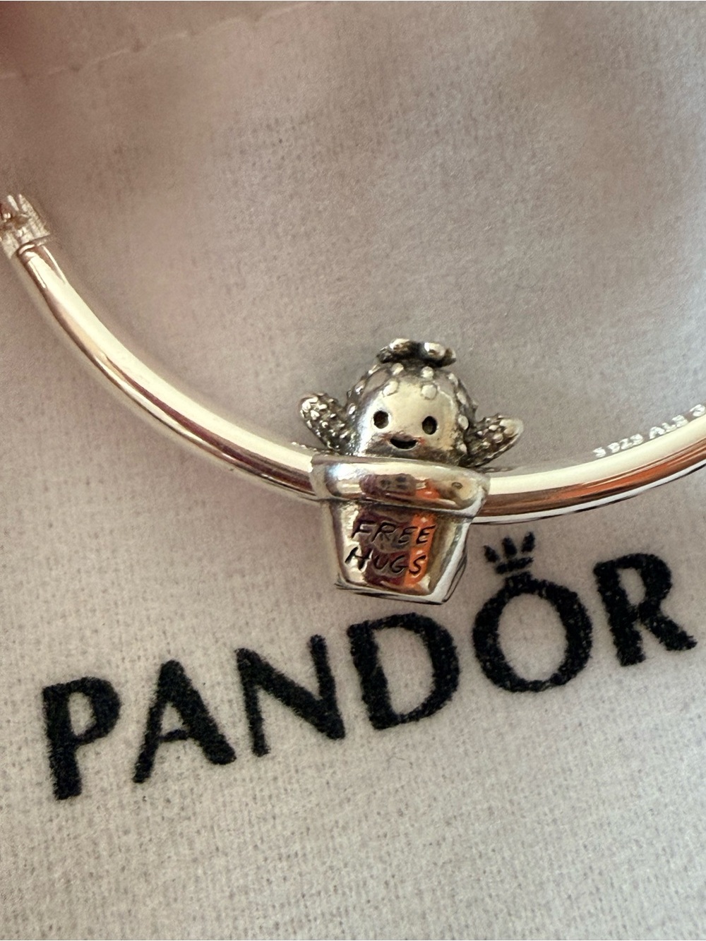 Pandora Silver 'Free Hugs' Cactus Charm Bracelet